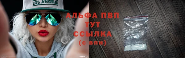 стаф Алексин