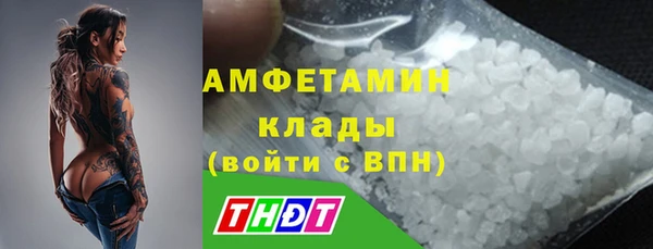 стаф Алексин