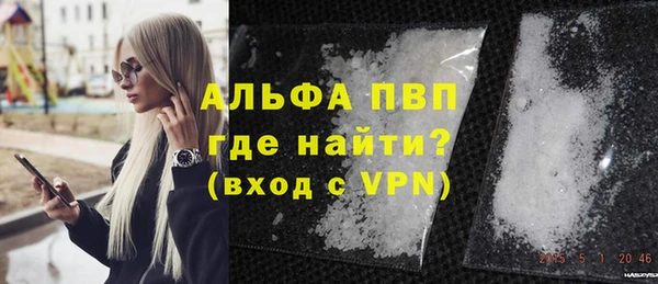 стаф Алексин