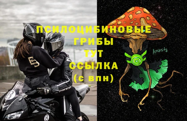 эйфоретик Алзамай