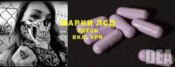 стаф Алексин