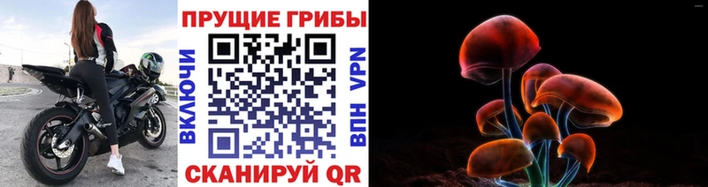 Псилоцибиновые грибы MAGIC MUSHROOMS Заволжск