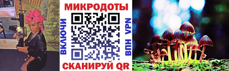 даркнет сайт Заволжск ссылка на мегу рабочий сайт Галлюциногенные грибы Magic Shrooms